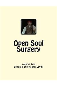 Vol. 2, Open Soul Surgery, large print edition