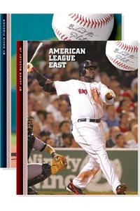 Behind the Plate (Set)