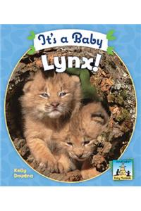 It's a Baby Lynx
