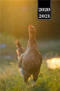 Chicken Hen Chick Farming Farmer Week Planner Weekly Organizer Calendar 2020 / 2021 - Sunset on Meadow
