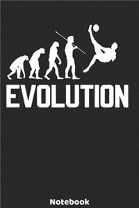 Evolution Notebook