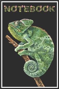 Chameleon Notebook