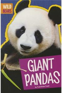 Giant Pandas