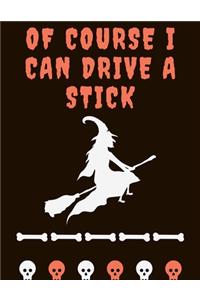 Of Course I Can Drive a Stick