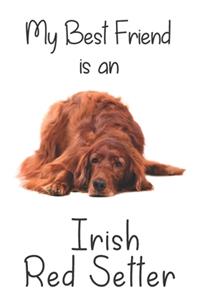 My best Friend is an Irish Red Setter