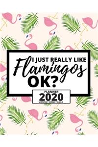 I Just Really Flamingos Ok?