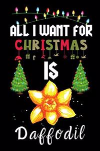 All I Want For Christmas Is Cucumber
