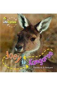 Lifecycles: Joey to Kangaroo