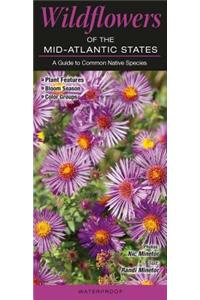 Wildflowers of the Mid-Atlantic States