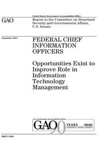 Federal chief information officers