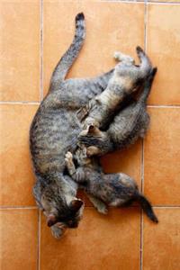 Mama Cat and her Three Little Kittens Journal