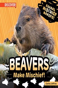 Beavers Make Mischief!