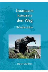 Guanacos kreuzen den Weg