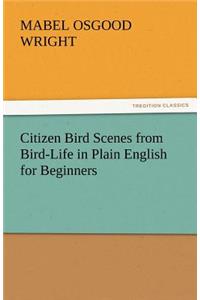 Citizen Bird Scenes from Bird-Life in Plain English for Beginners