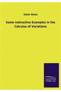 Some Instructive Examples in the Calculus of Variations
