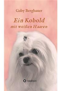 Ein Kobold Mit Weissen Haaren