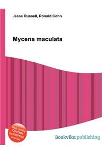 Mycena Maculata