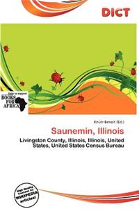 Saunemin, Illinois