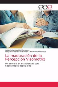 maduración de la Percepción Visomotriz