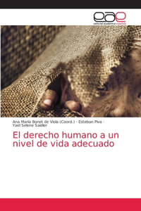 El derecho humano a un nivel de vida adecuado