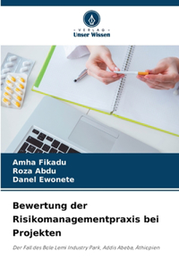 Bewertung der Risikomanagementpraxis bei Projekten