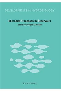 Microbial Processes in Reservoirs