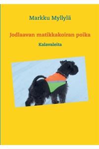 Jodlaavan matikkakoiran poika