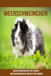 Meerschweinchen