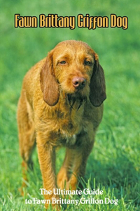 Fawn Brittany Griffon Dog