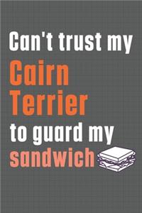 Can't trust my Cairn Terrier to guard my sandwich