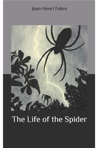The Life of the Spider
