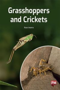 GRASSHOPPERS AND CRICKETS