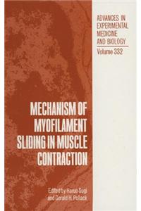 Mechanism of Myofilament Sliding in Muscle Contraction