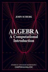Algebra: A Computational Introduction (Studies in Advanced Mathematics) [Special Indian Edition - Reprint Year: 2020]