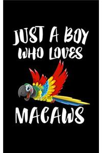 Just A Boy Who Loves Macaws