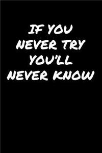 If You Never Try You'll Never Know