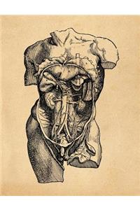 Anatomy Notebook