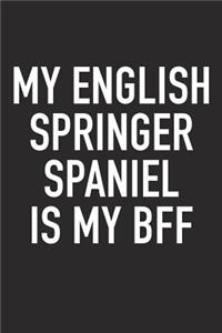 My English Springer Spaniel Is My Bff