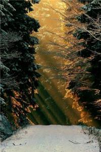 Nature notebook - best notebook with quotes, perfect 120 lined pages #15