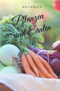 Pflanzen und Ernten