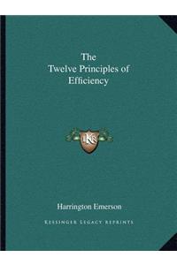 Twelve Principles of Efficiency