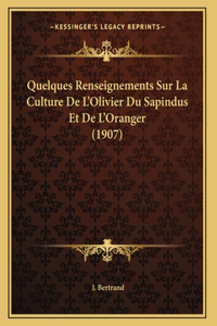 Quelques Renseignements Sur La Culture De L'Olivier Du Sapindus Et De L'Oranger (1907)