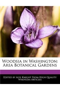 Woodsia in Washington