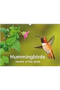 Hummingbirds Jewels of the Skies 2018