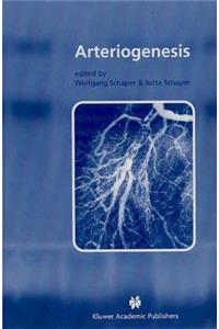 Arteriogenesis