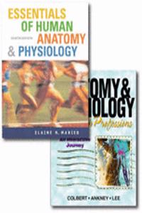 Essentials of Human Anatomy and Physiology