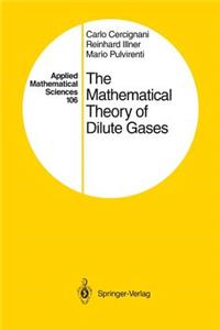 Mathematical Theory of Dilute Gases