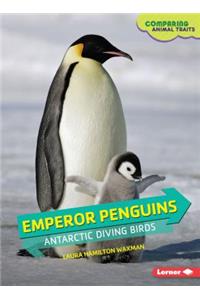 Emperor Penguins