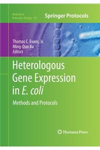 Heterologous Gene Expression in E.Coli