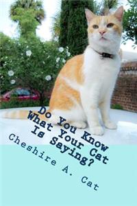Do You Know What Your Cat Is Saying?